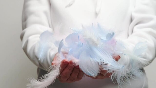 Blue and pink bird feathers slow falling down in person hands. Beautiful artwork with fluffy plumage and girl