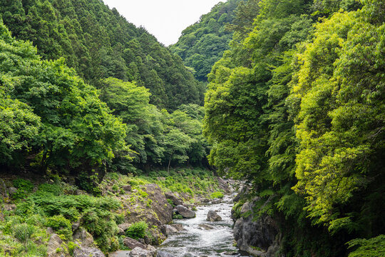 傾く-Bilder: Stock-Fotos & -Videos. | Adobe Stock