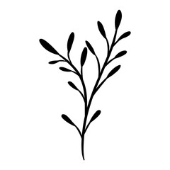 Silhouette of grass, flowers, twigs and plants isolated on a white background. hand drawn flower sketch
