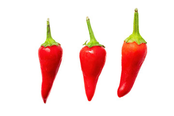 Organic fresh red hot chilli pepper isolated on a white background