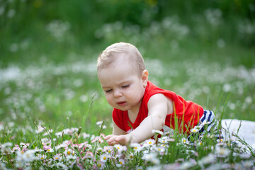 Cute little toddler trying and learning to crawl on the green grass in the park in summer.