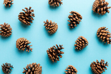 pine cones on colored table. natural holiday background with pinecones grouped together. Flat lay. Winter concept