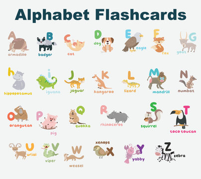 Animal alphabet flashcard. Educational printable flashcard. Vector illustrations.