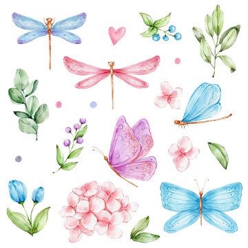 Collection with butterflies, dragonflies, flowers and leaves; watercolor hand drawn illustration; with white isolated background