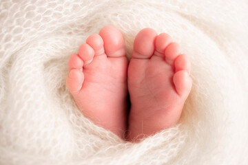 Soft feet of a newborn in a white woolen blanket. Close-up of toes, heels and feet of a newborn baby. The tiny foot of a newborn. Studio Macro photography. Baby feet covered with isolated background. 