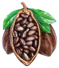 Foto op Canvas Three cocoa fruits with dried cocoa beans isolated on white background. Clipping path. © volff