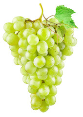 Bunch of green (yellow) grapes with a grape leaf isolated on a white background. There is a clipping path.