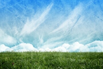 Digitally generated image of grassy landscape 