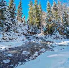 Fir trees covered with snow and stream with icy edge. Beautiful winter background.