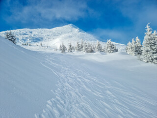 Obraz premium Beautiful sunny winter landscape in the mountains. Mountain and fir trees covered with snow.