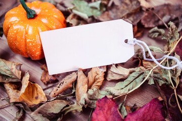 High angle view of thanksgiving decoration with price tag