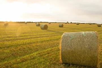 Fotobehang Hay bales in the countryside © vectorfusionart