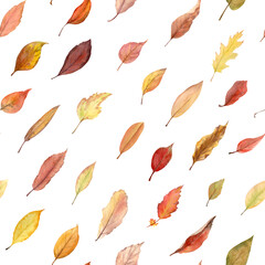 Obraz premium Watercolor hand drawn seamless pattern with autumn leaves