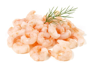 Eismeer Shrimps - Freigestellt