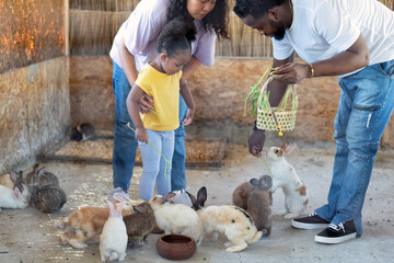 Family father mom and little girl enjoy happy playing feed the glass from the basket to the rabbit
