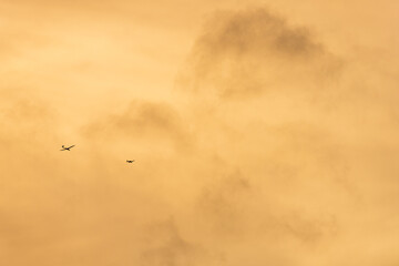 Vol en planeur dans un ciel de fin de journée, Alsace, France