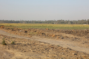 Dahshour Area