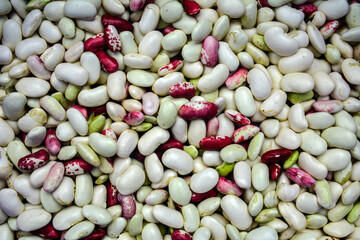 White and red beans .