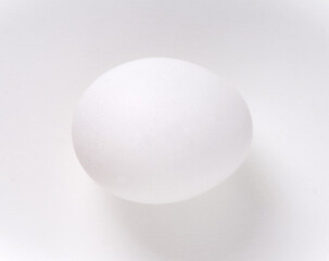 White egg on white background