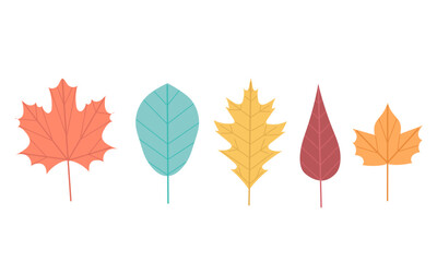 Cute fall season set. Colorful autunm leaves vector illustration.