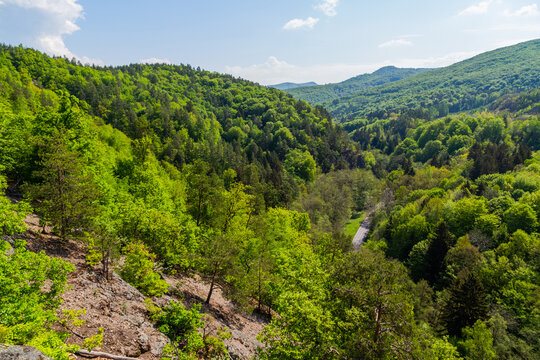 Tomasovsky vyhlad, Slovakia