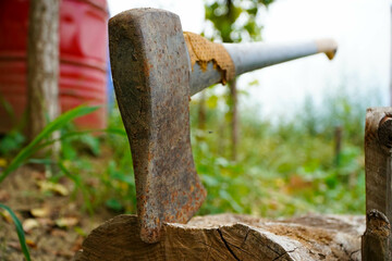 axe. old ax stuck in a log.