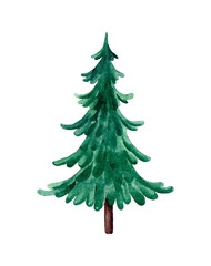 Watercolor green Christmas tree on white background. Winter design elements.