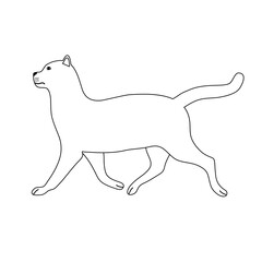Vector flat hand drawn cat isolated on white background