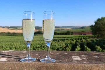 Deux verres à vin (flûtes / coupes) remplis de champagne, devant un paysage de vigne sous un ciel bleu dans la Marne, en Champagne Ardenne, région Grand-Est (France)