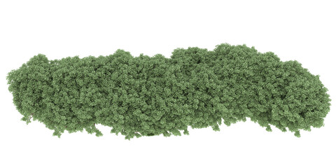 Obraz premium Forest on transparent background. 3d rendering - illustration