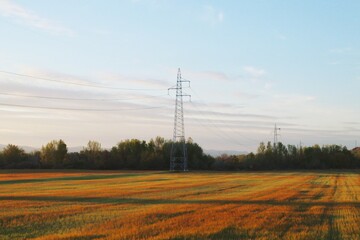 Torre de alta tensión sobre un campo de cereal en abril en Paracuellos de Jarama, España. Mazorcas con los primeros colores cálidos que indican que el grano está maduro y la planta comienza a secarse.