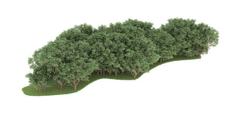 Forest on transparent background. 3d rendering - illustration