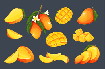 Mango set vector illustration. Cartoon isolated whole fresh raw tropical fruit cut into halves, quarters, slices and cubes for healthy dessert. Mango with flowers and leaves on tree branch