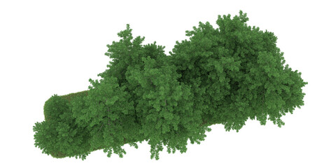 Fototapeta premium Forest on transparent background. 3d rendering - illustration