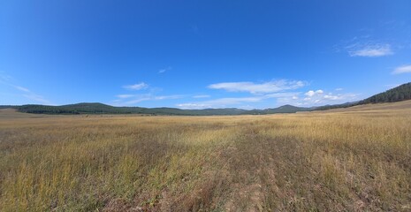 mountains and field