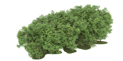 Fototapeta premium Forest on transparent background. 3d rendering - illustration