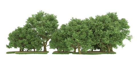 Forest on transparent background. 3d rendering - illustration