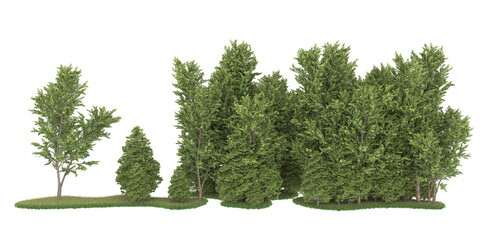 Forest on transparent background. 3d rendering - illustration