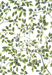 Blueberry leaves branches with berries. Watercolor pattern isolated on transparent background. Great for wedding invitation, greeting cards, decoration, stationery - 528672411