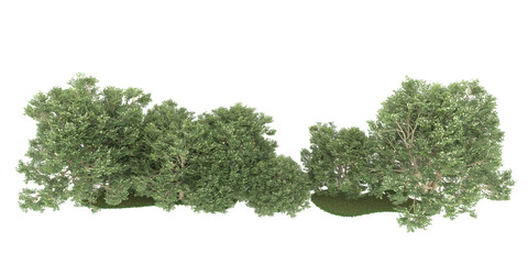 Forest on transparent background. 3d rendering - illustration