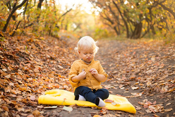 Little boy in autumn background with golden and red trees. Thanksgiving holiday season.