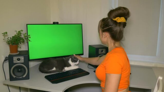 Girl is typing text on the keyboard then strokes the pet's head. Chromakey on computer screen. Video with a chroma key on the screen to insert any video or image.