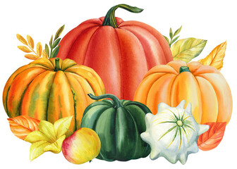 Autumn multicolored Pumpkins on an isolated white background, watercolor painting, hand drawing