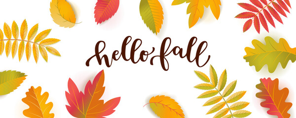 Fototapeta na wymiar Vector Hello Fall Sale horizontal promotion banner. Bright warm colors design template. Vivid colorful autumn leaves with shadows isolated on white background