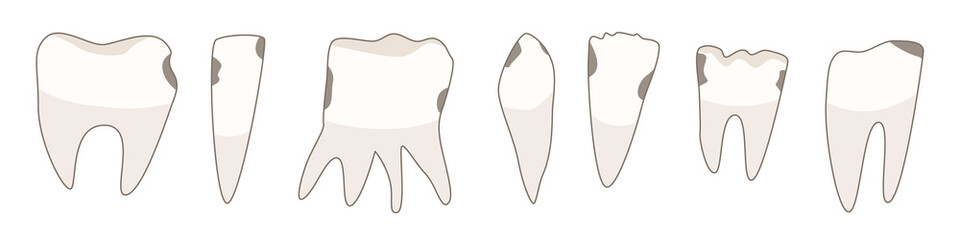 A net with damaged molars. Vector illustration in doodle style.