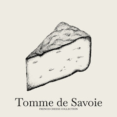 Vector hand drawn illustration of Tomme de Savoie cheese. Template for card, poster, banner, print for t-shirt.