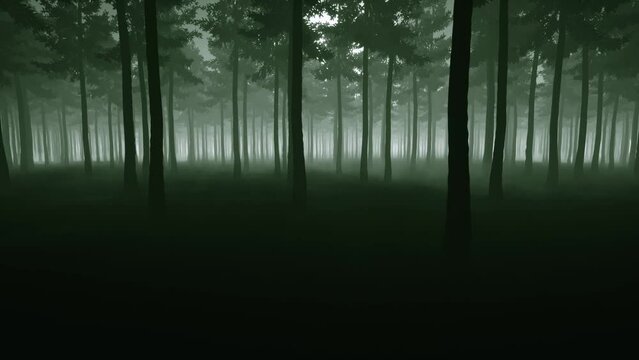 Misty forest in the morning