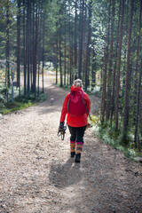 Woman hiking in forest in Finland Lapland