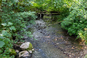 Obraz premium Stream flowing over rocks through a forest