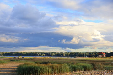 Fototapeta premium landscape with river